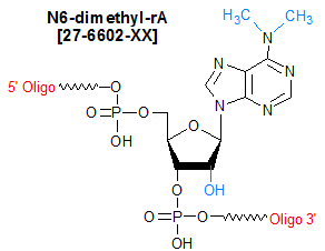 picture of N6-dimethyl rA [m6-2A]
